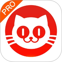 猫眼票房实时专业版