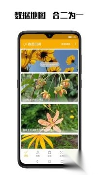 数图2024最新手机版V3.0.4图4