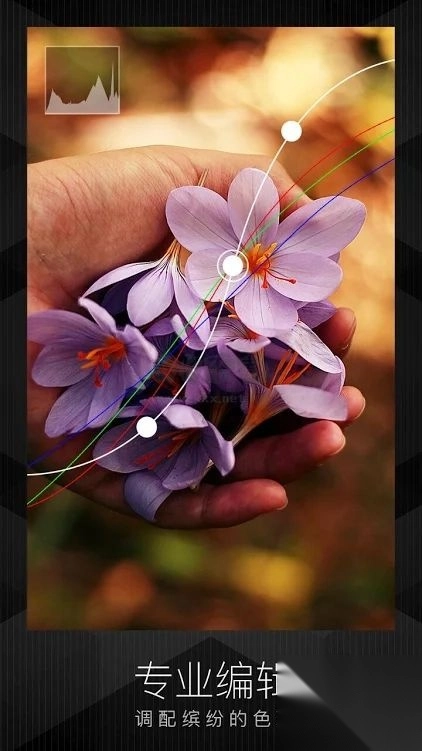 MIX滤镜大师app官网免费最新版图1