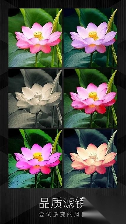 MIX滤镜大师app官网免费最新版图4