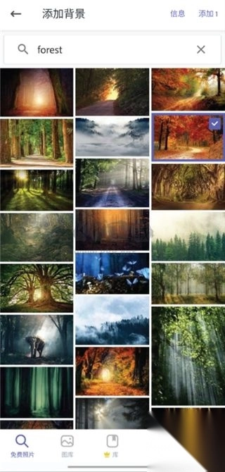 AdobeExpressPro免费使用版图2