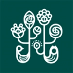 野兽派2024安卓版v6.1.1