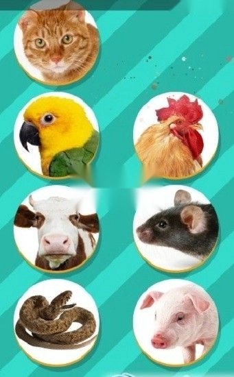 狗语翻译器中文版图2