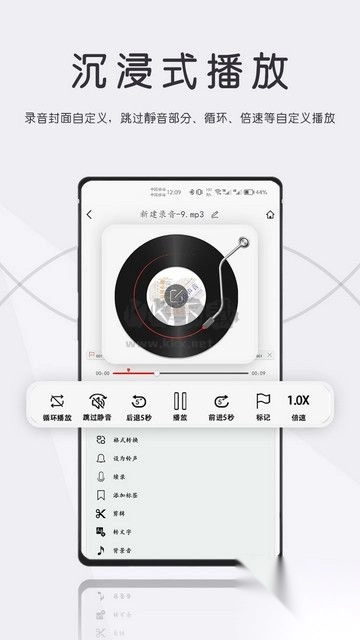 大录音师正版