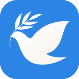 飞鸽博客正版
