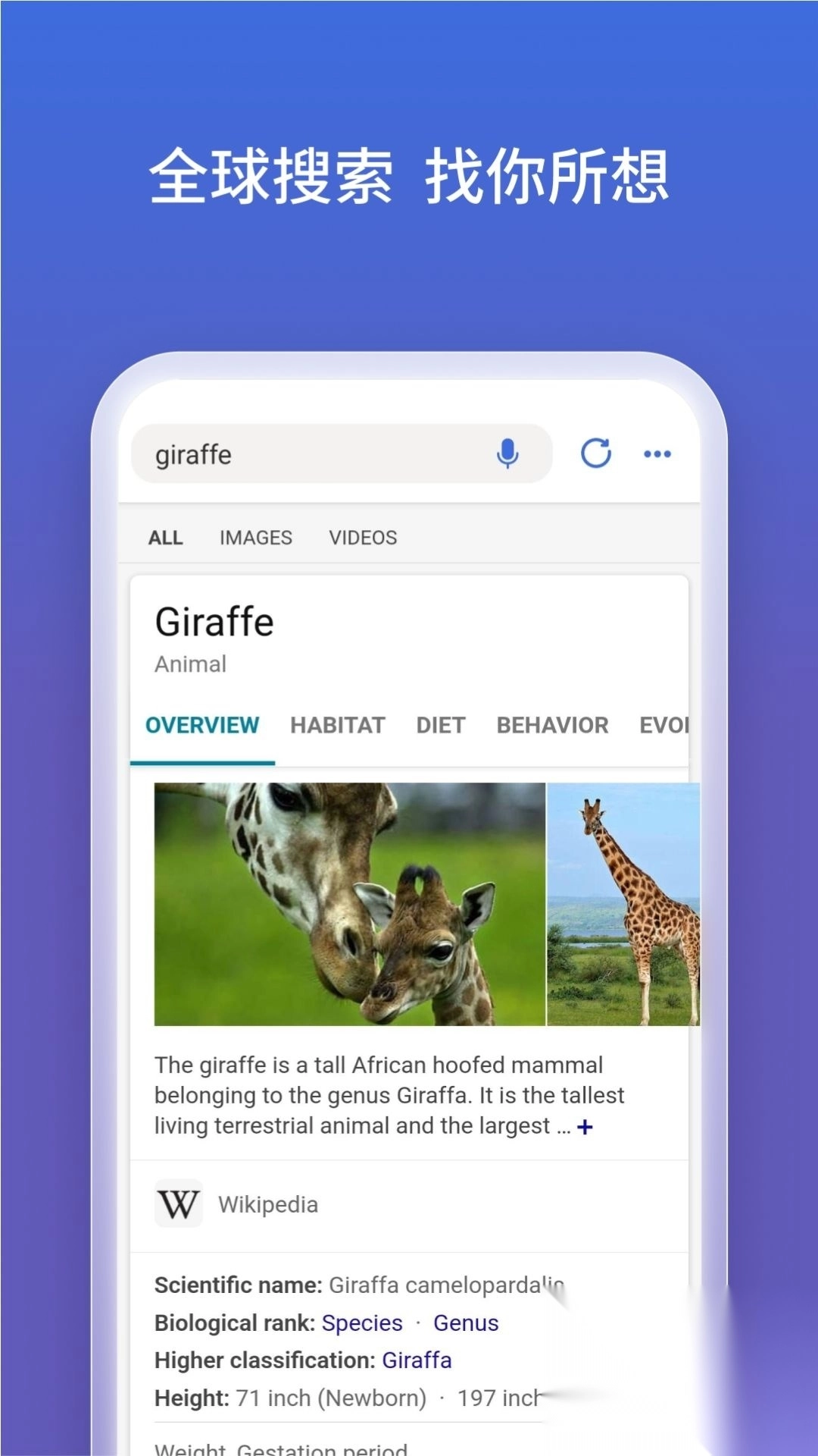 微软bing国际版v30.8.21图3