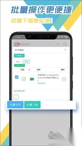 飞鸟器v3.96最新版图3