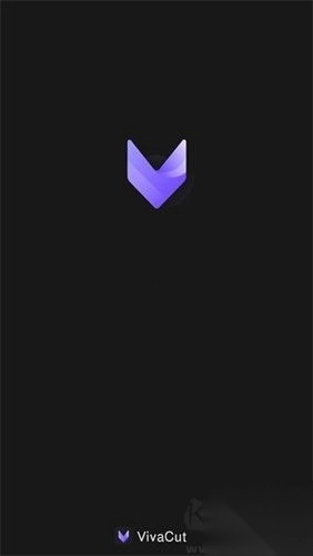 VivaCut永久会员版v4.1.6(3)