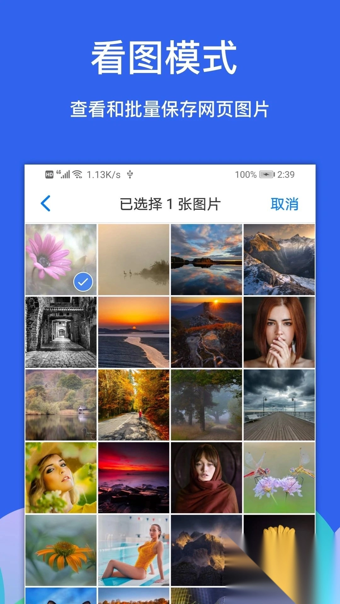 Alook浏览器安卓版