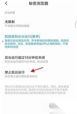 秘密浏览官网版v3.1.4