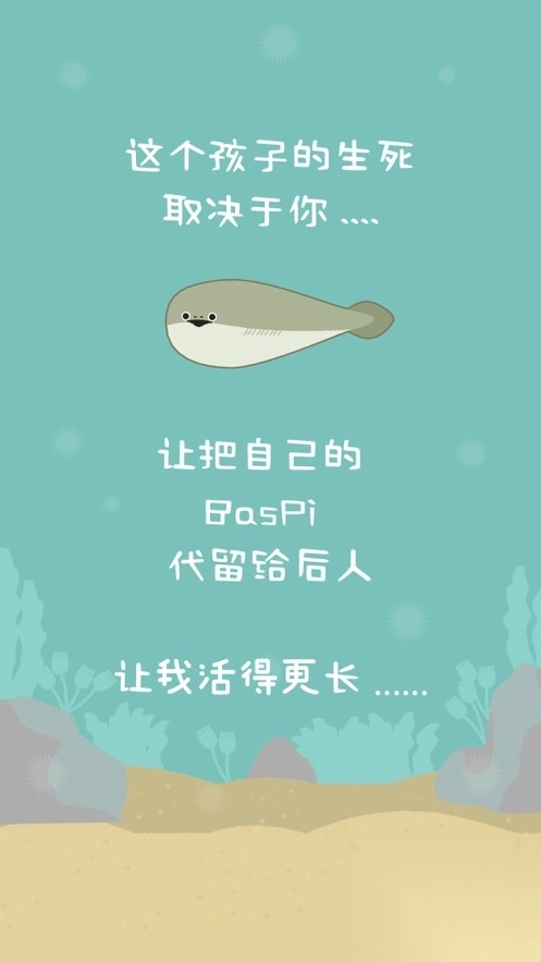虚无鱼BasPi2