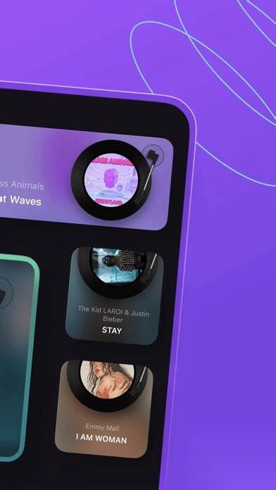 谜底黑胶音乐播放器截图2