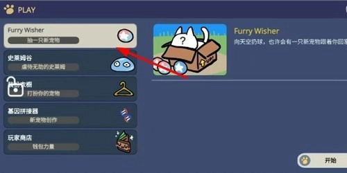Furry Wisher
