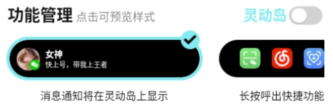 灵动皮肤小组件