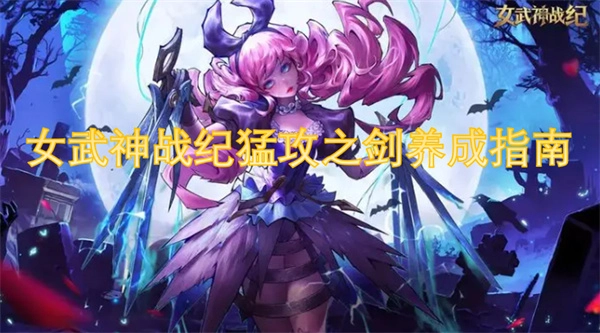 《女武神戰紀之猛攻之劍養成秘籍》