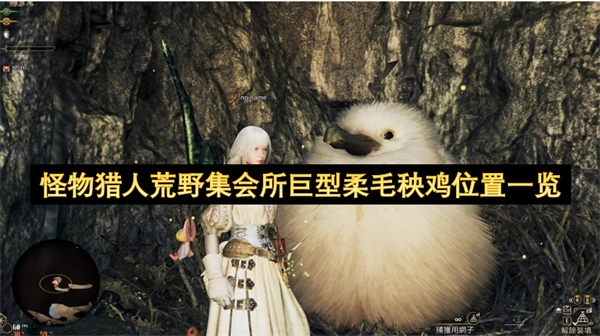 《怪物獵人荒野集會所巨型柔毛秧雞所在位置全解析》