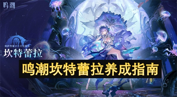 《鳴潮坎特蕾拉培養(yǎng)攻略》