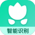 识别植物安卓版
