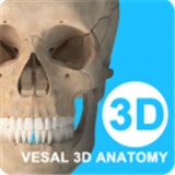 维萨里3d解剖 V6.6.0 
