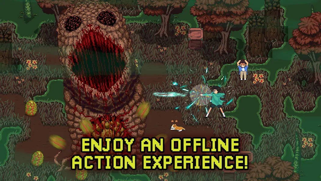 深入萨莫莫镇(1)