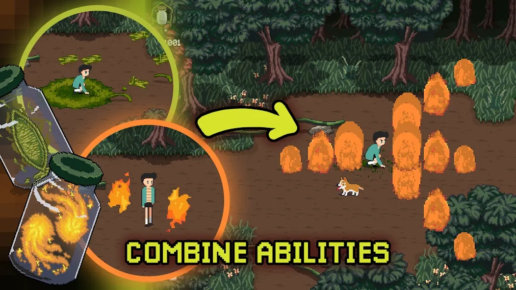 深入萨莫莫镇(5)