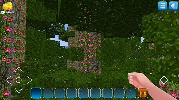 我的小小世界21