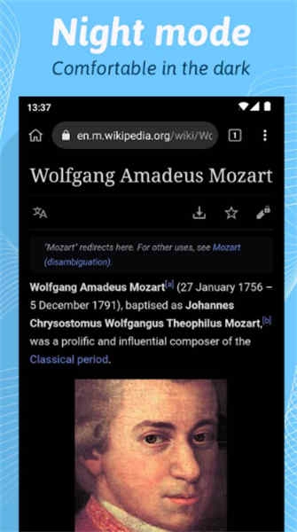 Kiwi浏览器截图1