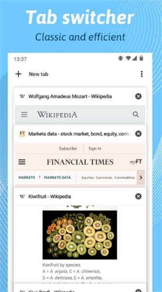 Kiwi浏览器截图4