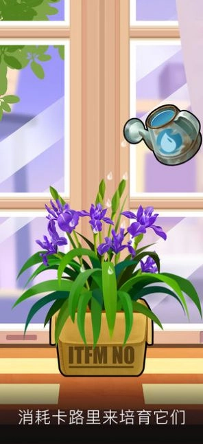 我的花园免费红包版图4