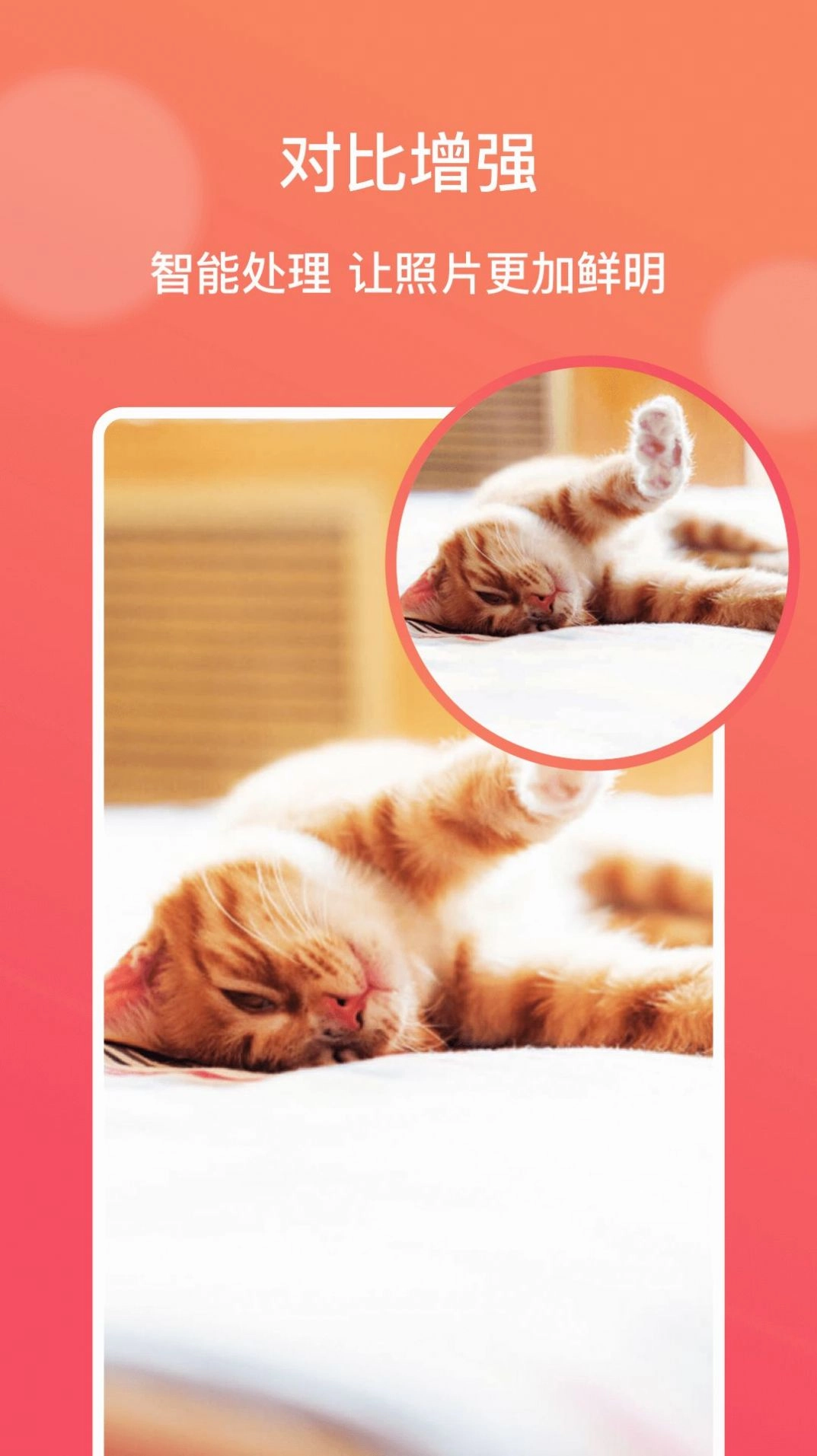 AI修图大师免费最新版图2