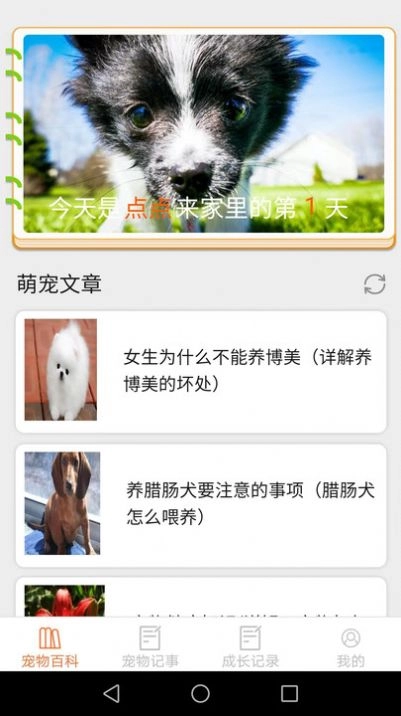 宠物点点最新版图5