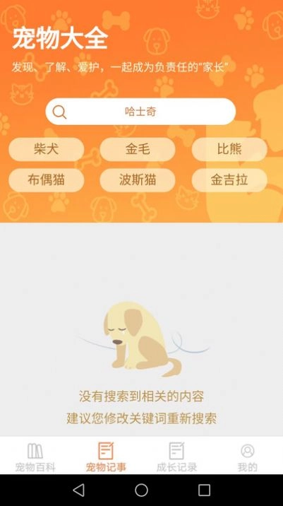 宠物点点最新版图8