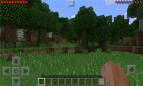 我的世界老版-图3