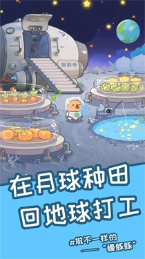 慢豚豚的生活(1)