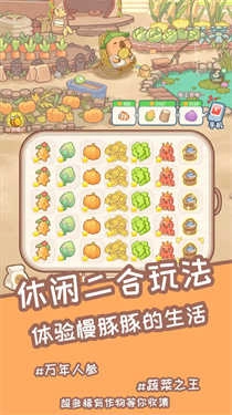 慢豚豚的生活(3)