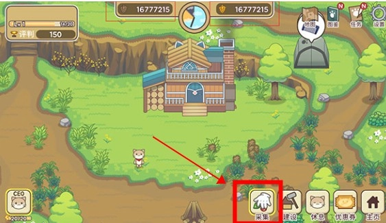 猫咪森林中文版