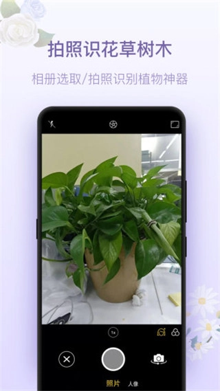 拍照识花神器手机版