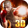 真实拳击对决游戏最新版