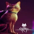 迷失stray游戏手机版