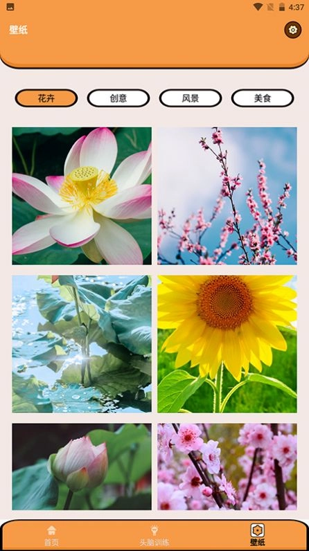 超能王国游戏安卓版图2