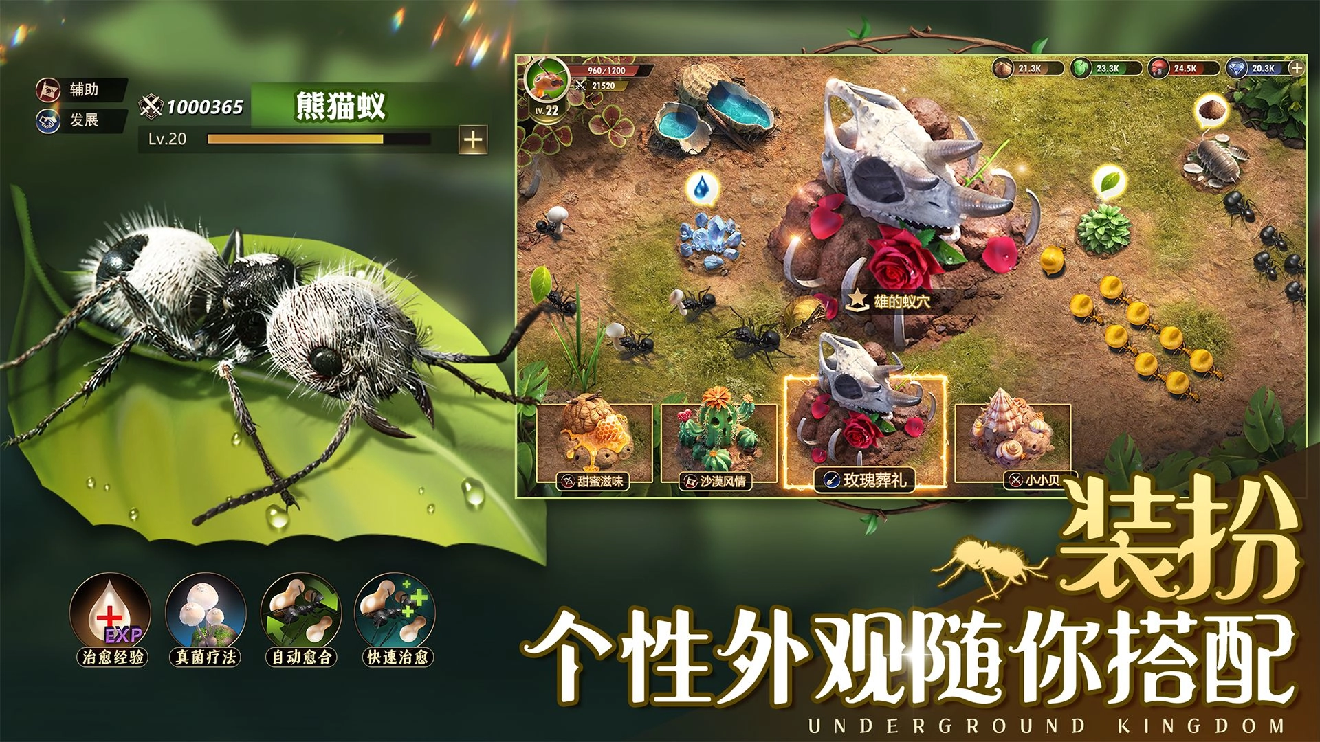 小小蚁国游戏免费安装图3