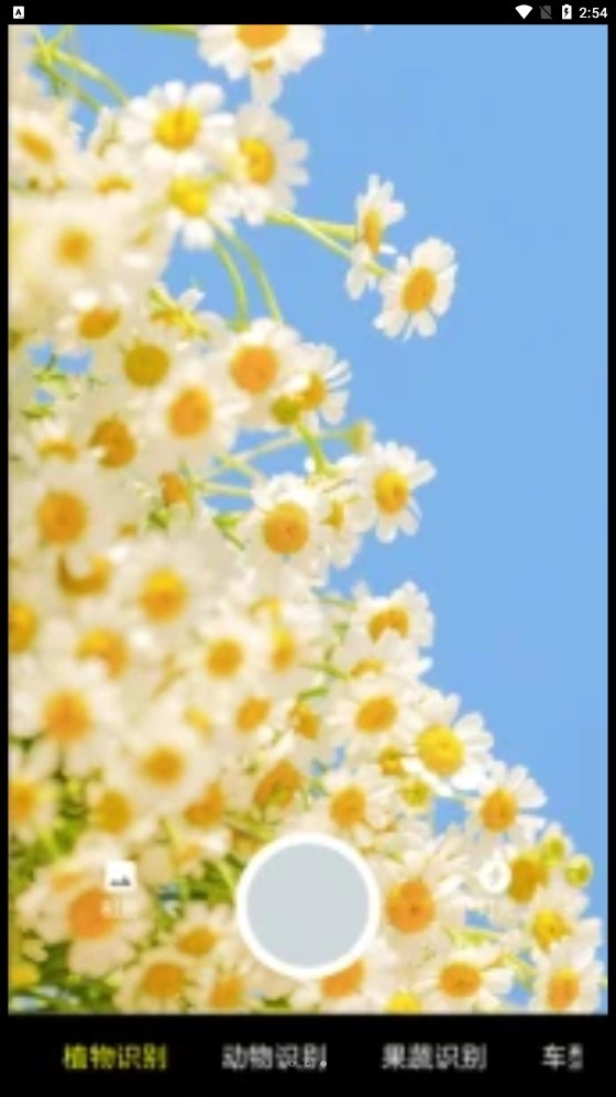 随手扫一扫版图4