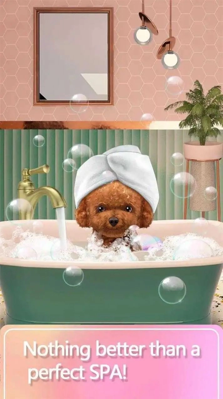 宠物化妆师游戏版图3