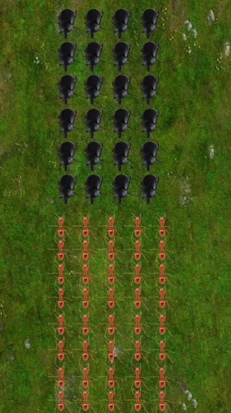 蚂蚁小小蚁国地下王国守卫游戏安卓版