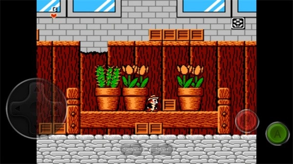 松鼠大战手机版图1