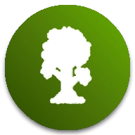 泰拉瑞亚灾厄模组汉化版