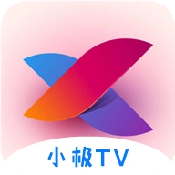 小极tv电视版