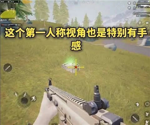 画质MxPro无任务版(8)