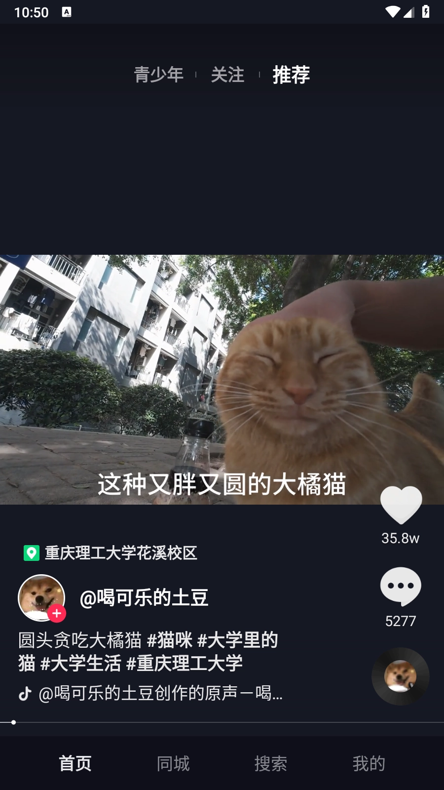 抖音TV小书版(4)