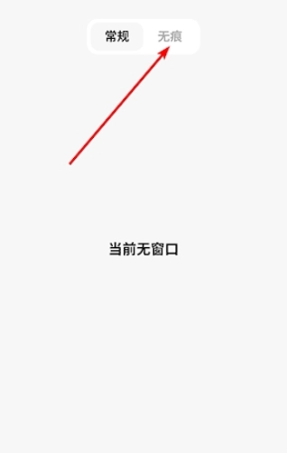 闪速浏览器-图3